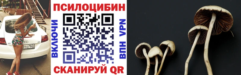 ссылка на мегу онион  Алдан  Галлюциногенные грибы MAGIC MUSHROOMS 